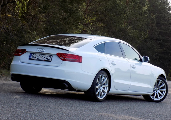 Audi A5 cena 43999 przebieg: 210000, rok produkcji 2011 z Kościerzyna małe 742